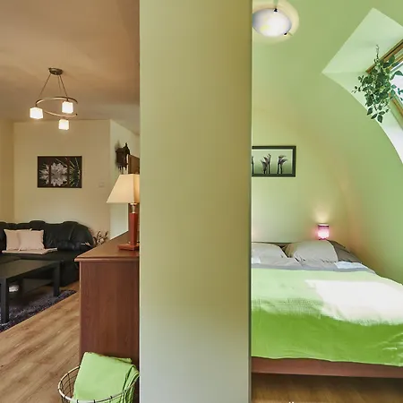 - Teresa 슈비노우이스쳬