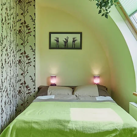 - Teresa 아파트 슈비노우이스쳬